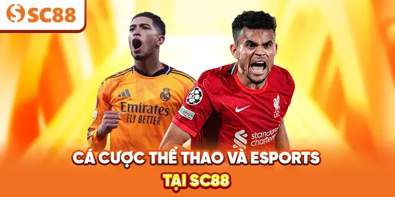 Super918 sẽ tự động chuyển tiền vào ví True của bạn - Super918