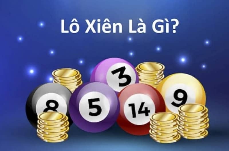 Các hoạt động khuyến mãi hấp dẫn của Nohu liên tục được cập nhật - Nohu