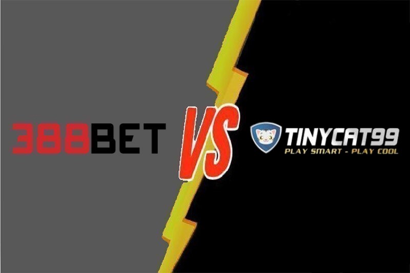 Thương hiệu 6Sports là gì? - 6Sports