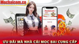 Đánh giá người chơi trên nền tảng Pk88 T8 - Pk88