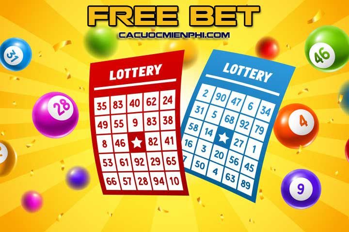 Trang web game Win55 đó có thực sự đáng tin cậy không? - Win55