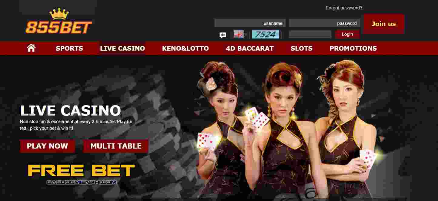 Những yếu tố nào đã góp phần vào sự thành công của một công ty game tầm cỡ Vesovn? - Vesovn