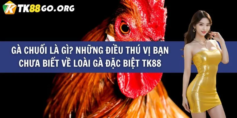 Đánh giá giao diện trang web Vwin88 - Vwin88