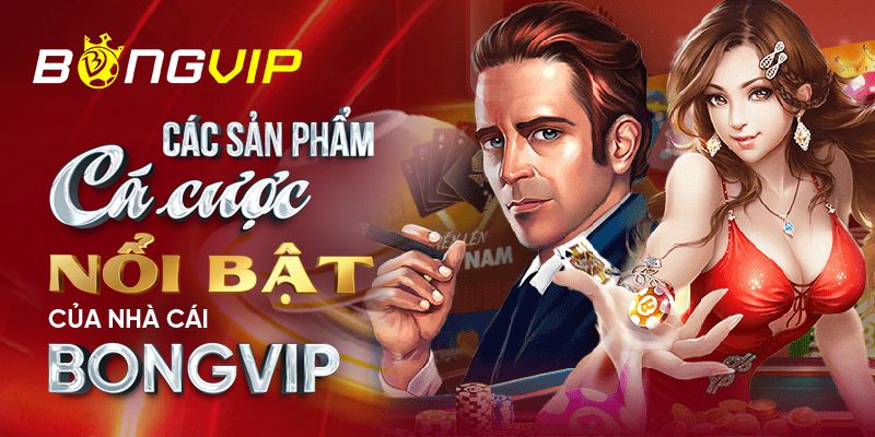Giải đấu đá gà cấp I9bet được tổ chức tại I9bet - I9bet