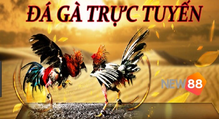 Lợi ích khi tham gia các hoạt động quảng bá của Bk8 - Bk8